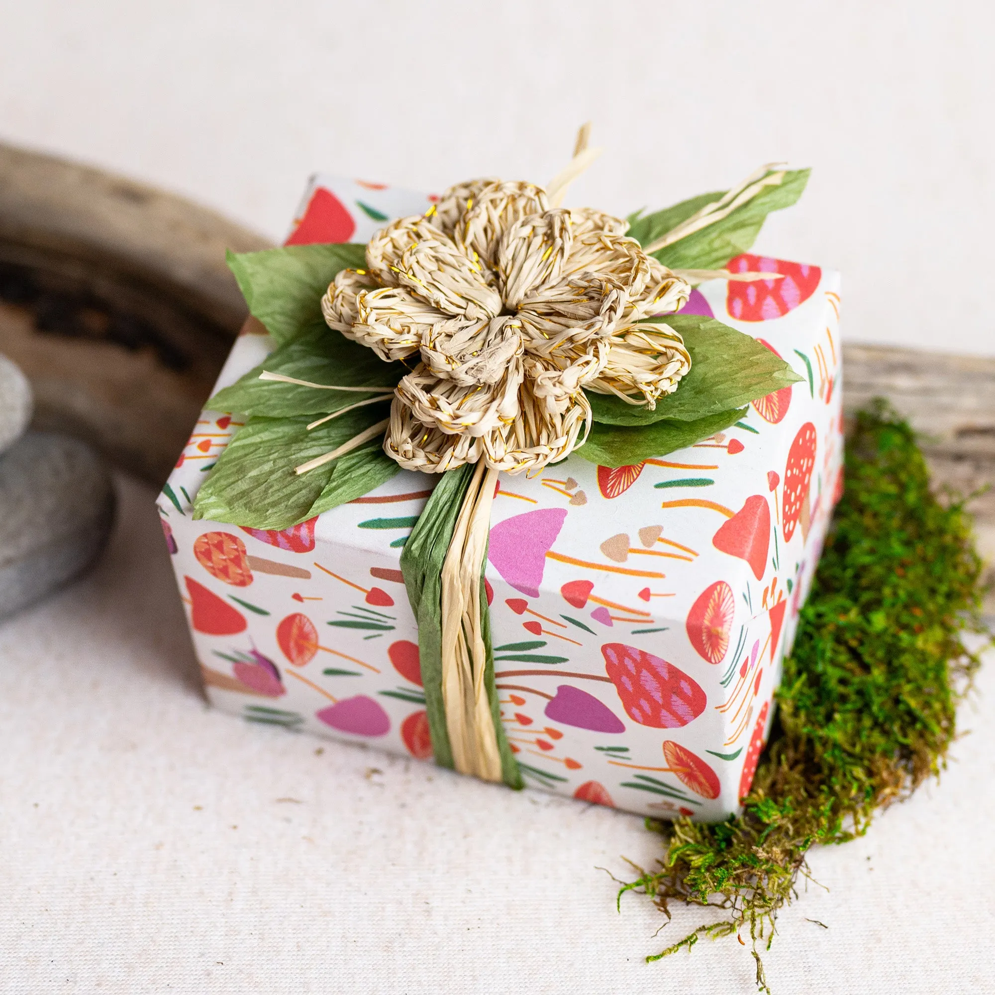 Mushrooms and Snails /  Everyday Gift Wrap Set