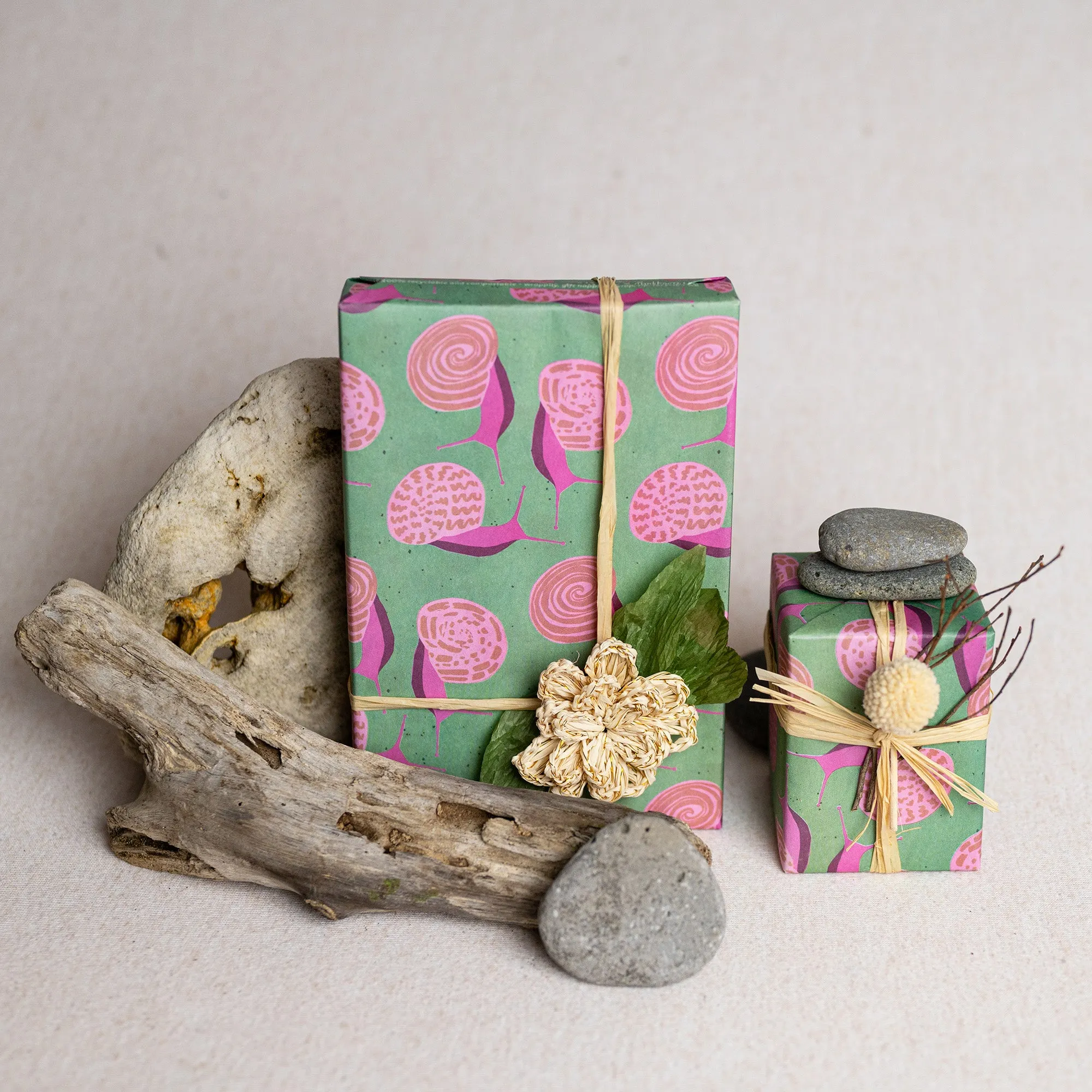 Mushrooms and Snails /  Everyday Gift Wrap Set