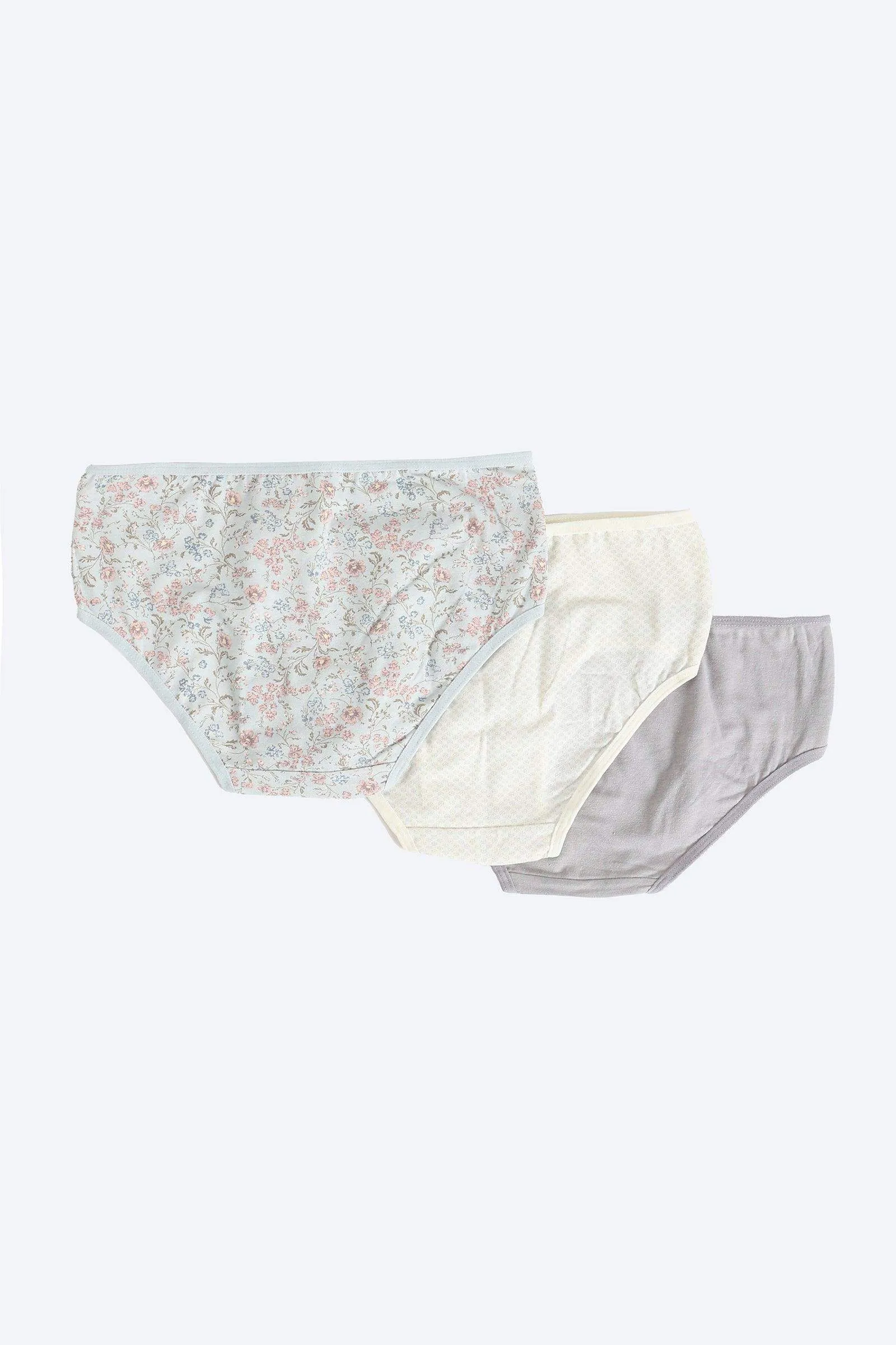 Pack of 3 Colored Brief Panties